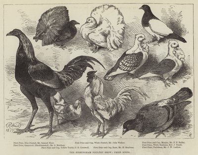 The Birmingham Poultry Show, Prize Birds by Harrison William Weir